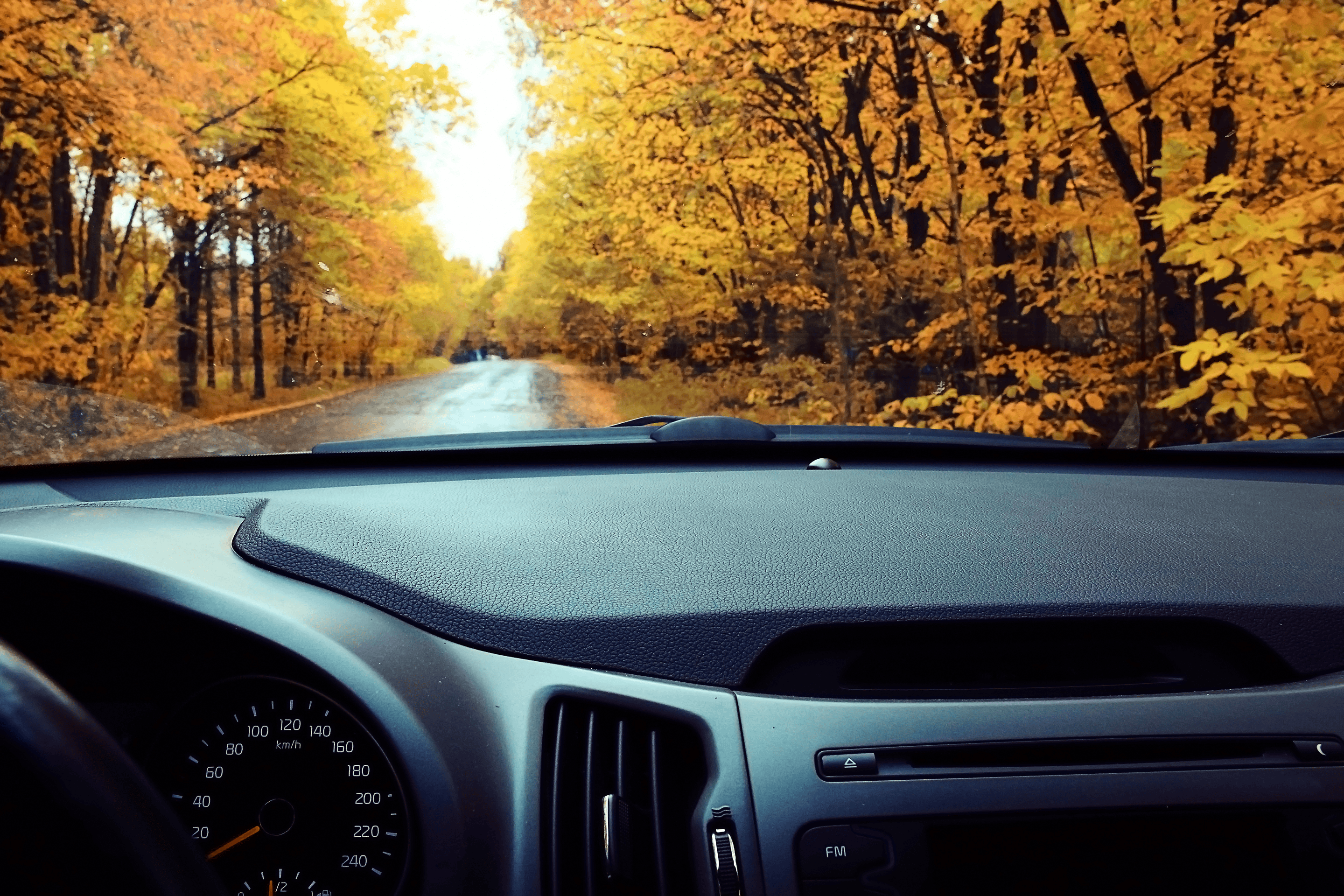 zo ga jij in de herfst veilig de weg op pim lease